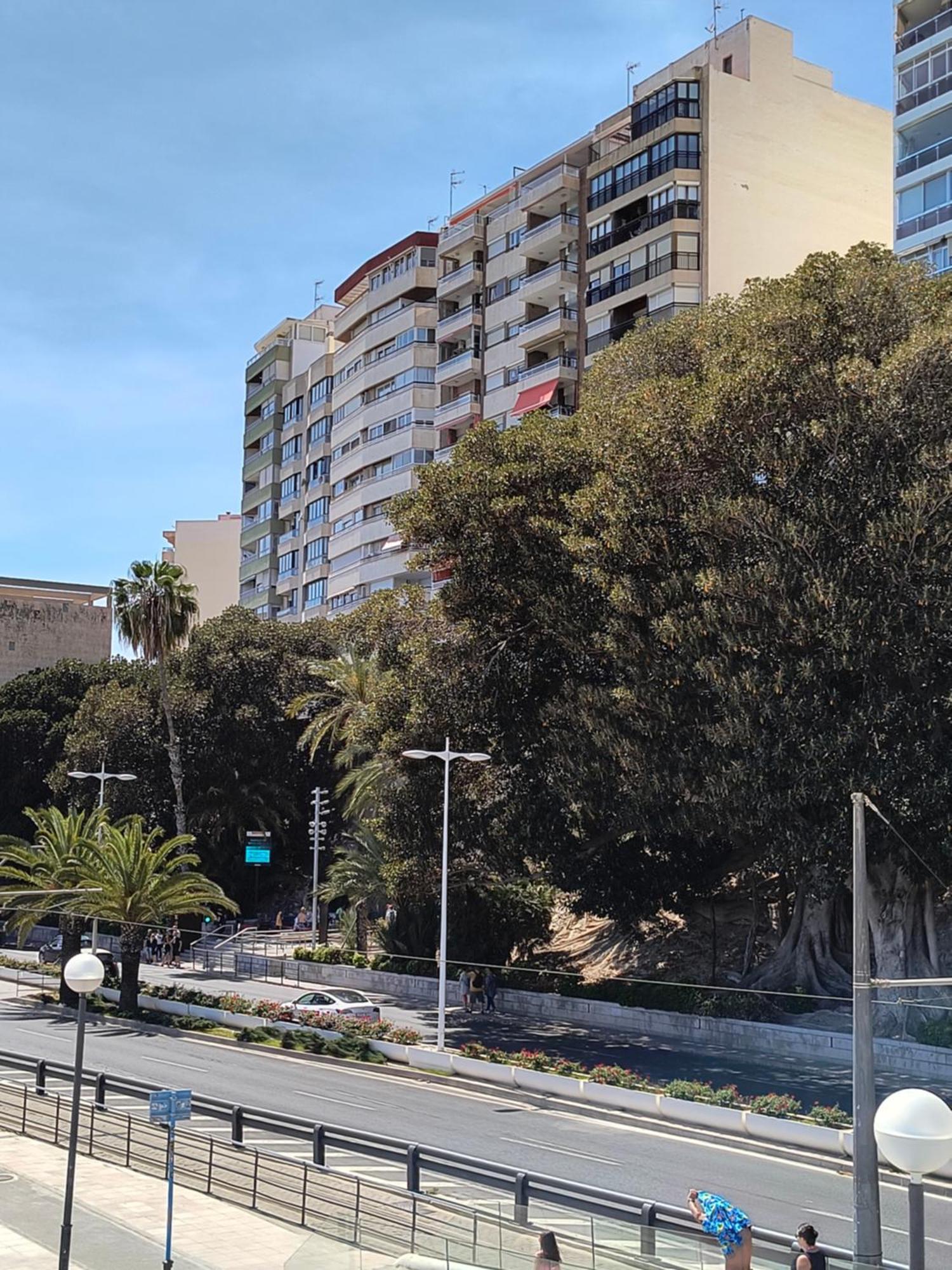Apartamento Playa Alicante Ngoại thất bức ảnh